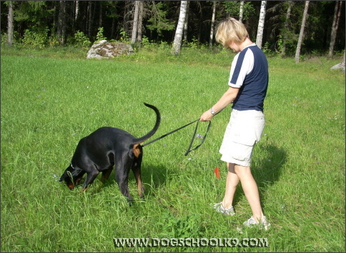 Summer training camp in Finland 2007